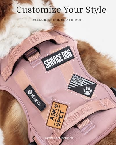 Fei & Eve MagEase 3-Second Magnetic Dog Harness | No-Pull Tactical Vest | Quick-Connect MOLLE w/3 Leash Clips | Heavy-Duty 900D Nylon | Adjustable w/Handle (Large, Blush) - color: Blush, size: L