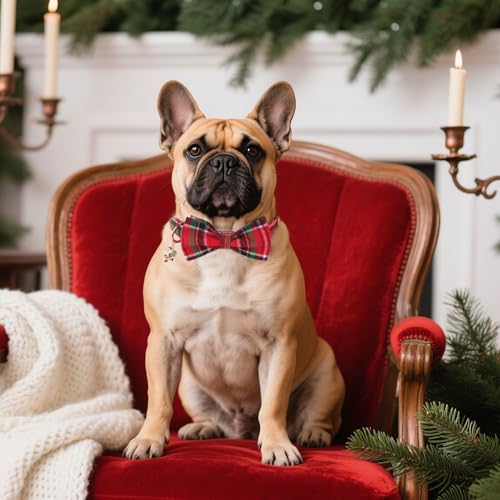 ADOGGYGO Christmas Dog Collars with Bow, Detachable Plaid Bowtie with Charm, Metal Buckle, Adjustable Red Green Plaid Christmas Collars for Extra Small Dogs Boy Girl (X-Small) - color: Christmas, size: X-Small