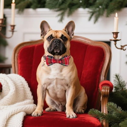 ADOGGYGO Christmas Dog Collars with Bow, Detachable Plaid Bowtie with Charm, Metal Buckle, Adjustable Red Green Plaid Christmas Collars for Extra Small Dogs Boy Girl (X-Small) - color: Christmas, size: X-Small