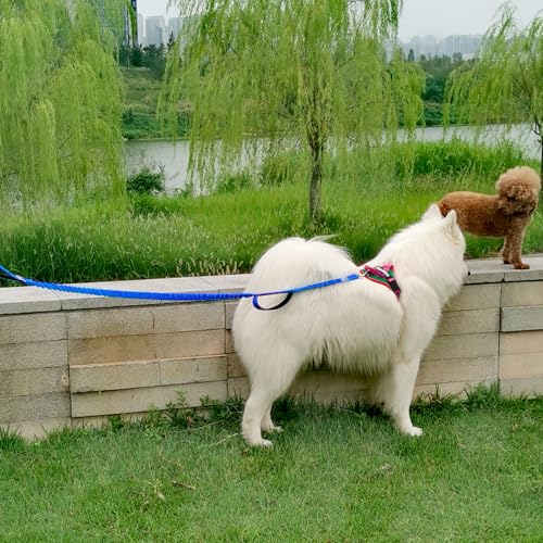 5 FT Bungee Dog Leash with 2 Handles, Reflective Strong Nylon Traffic Leash, Shock Absorbing Lead for Large Medium Dogs Walking Training Controlling, Dark Blue - color: Dark blue