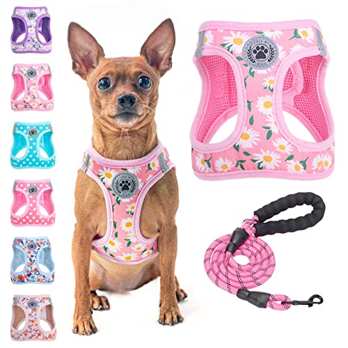 BEAUTYZOO Step in Dog Harness and Leash Set, Floral Pattern Reflective Dog Harness No Pull No Choke Puppy Harness for XXS XS S Dogs Cats, Soft Padded Mesh Vest Harnesses for Girl and Boy Pets - color: Pink Daisy, size: XX-Small(Chest Girth 11.5"-13")