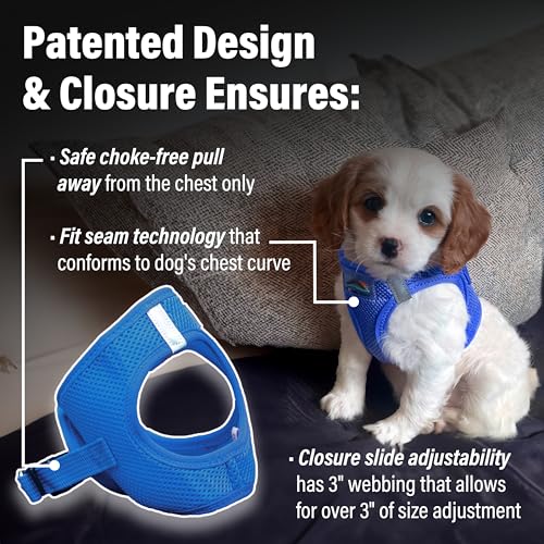 Doggie Design Dog Harness - No Choke Dog Harness, Dog Vest, Mesh Polyester, Pet Harness, Simple Step in and Go Design, Harness for Dog - Cobalt Blue, XXS - color: Cobalt Blue, size: XX-Small