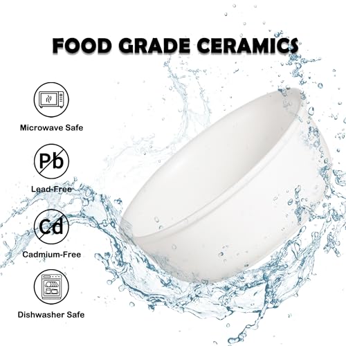 Ceramic Elevated Dog Bowl Set - Raised Food and Water Bowls with Metal Stand - Double Pet Dishes for Small and Medium Dogs - 3 Cups - 24.3 fl oz - Matte White - color: Matte White, size: L-400ml