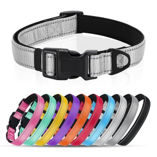 Reflective Dog Collar with Quick Release Buckle - Metal Ring - Adjustable Soft Neoprene Padded Basic Dog Collar for Small Medium Large Dogs (LightGray, Large :Width 1",Neck 15.7-23.6") - color: Lightgray, size: Large