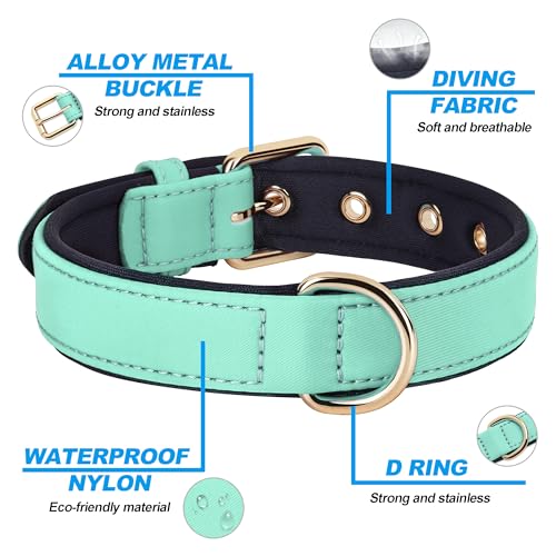 Didog Soft Padded Dog Collar for Large Dogs, Lightweight and Breathable Dog Collar with Metal Buckle, Green, XL - color: Green, size: XL: Fit 17-23" Neck