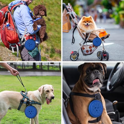2 Pack [Slow Feeder Design + Regular], Collapsible Dog Bowl Travel Portable Pet Bowls, [34oz,1000ml] Foldable Food Water Feeding Dishes for Traveling Hiking Walking with Carabiners [Blue,Red] - color: Blue+Red
