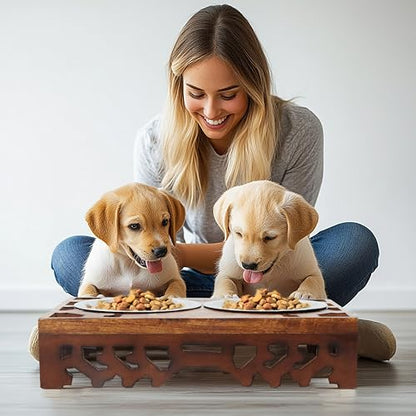 Elevated Pet Feeder for Dogs and Cats - Hand Carved Wood Bones Raised Dog Bowl Stand - Pet Feeding Stand with Two Steel Bowls - Raised Dog Bowl for Food Water - Pet Feeding Station -17x11x4- IRONGATE - color: Bone Bistro Carved - Wood
