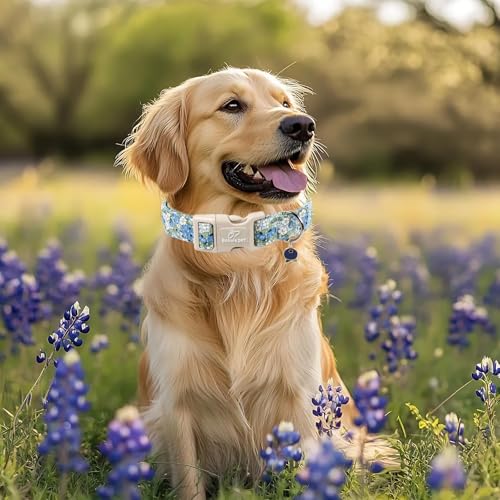 Blueberry Pattern Dog Collar, Cute Light Blue Spring Summer Puppy Collar - Soft Adjustable Designer Dog Collars for Small Medium Large Dogs XS - color: Blueberry, size: XS