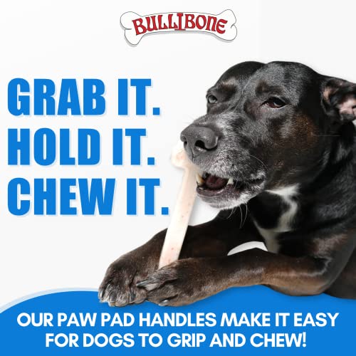 Bullibone Nylon Dog Chew Toy for Aggressive Chewers - Dental Hygiene Bone with Peanut Butter Flavor, Durable Tough Chew Toys for Large Dogs, Indestructible Dog Bone - Single - size: Large - Single