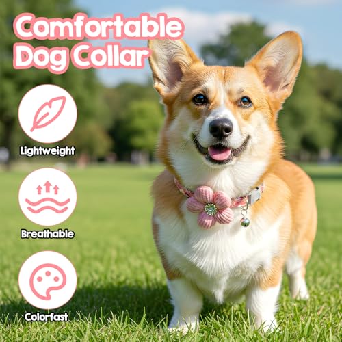 Small Dog Collar with Flower, Puppy Collar for Girl Dog Collars for Small Dogs Cute Collars with Bell, Adjustable Length Neckband (Pink)