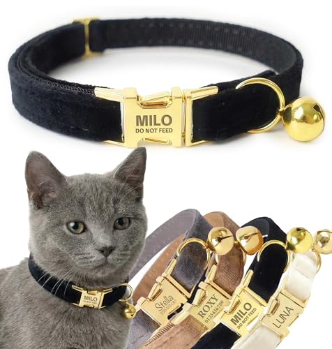 Personalized Velvet Cat Collar with Bell, Custom Engraved Name and Phone Number, Adjustable Luxury Kitten Collar, Non-Breakaway Secure ID Collar for Cats and Kittens - color: Black, size: S