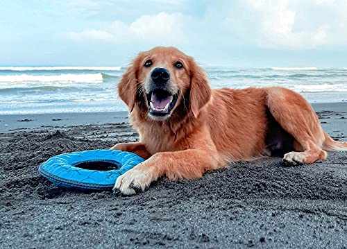 Tuff Pupper SuperChewy Tough Floating Dog Water Toy Strong Natural Rubber | Great Dog Fetch Toy | Pool Swimming Toy for Puppy| Durable Training Toy for Non-Aggressive Chewers
