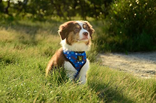 EcoBark Dog Harness - Eco-Friendly Max Comfort Harnesses - Luxurious Soft Mesh Halter - Over the Head Chest Harness Vest- No Pull and No Choke for Puppy, Toy Breeds & Small Dogs (Small, Nautical) - color: Blue Nautical