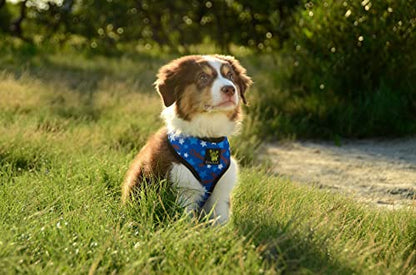EcoBark Dog Harness - Eco-Friendly Max Comfort Harnesses - Luxurious Soft Mesh Halter - Over the Head Chest Harness Vest- No Pull and No Choke for Puppy, Toy Breeds & Small Dogs (Small, Nautical) - color: Blue Nautical