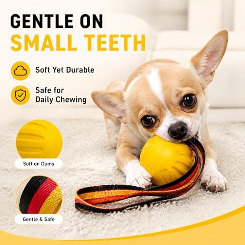 Durable Rubber Dog Ball with Strap - Interactive Fetch/Tug Toy for Aggressive Chewers, Floating Dog Toy for Medium/Large Dogs (Small) - size: Small