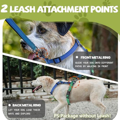 Roses&Poetry Dog Harness Small Sized Dog, 6 Point Adjustable Fit No Pull Harness with Handle for Control and Easy Walking, Reflective Pet Halter Harnesses（Bluegreen-S） - color: BlueGreen（Harness Only Without Leash）, size: S