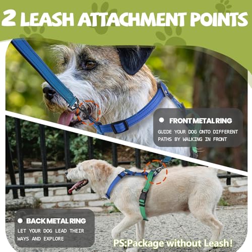 Roses&Poetry Dog Harness Medium Sized Dog, 6 Point Adjustable Fit No Pull Harness with Handle for Control and Easy Walking, Reflective Pet Halter Harnesses（Bluegreen-M） - color: BlueGreen（Harness Only Without Leash）, size: Medium