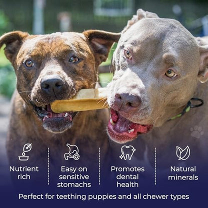 Devil Dog Pet Co. Himalayan Yak Cheese Dog Chews for Medium to Large Breeds & Aggressive Chewers - Long Lasting, Rawhide Free, High Protein - Cleaner Teeth, Anxiety & Boredom Relief - 3 Pack - style: Large - 3 Pack