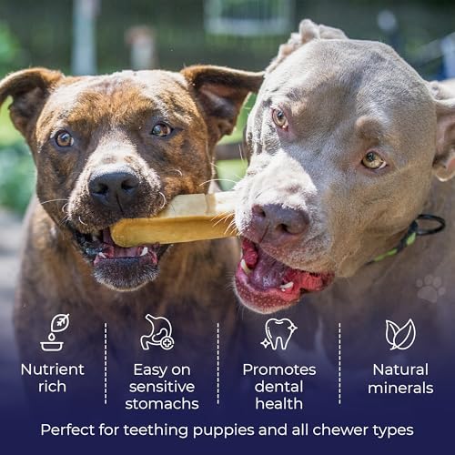 Devil Dog Pet Co. Himalayan Yak Cheese Dog Chews for Medium to Large Breeds & Aggressive Chewers - Long Lasting, Rawhide Free, High Protein - Cleaner Teeth, Anxiety & Boredom Relief - Large - style: Large - 1 Pack