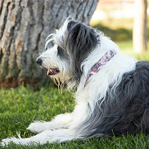 Dog Collar for Small Medium & Large Dogs - Heavy Duty Cotton Collar, Long Lasting, Adjustable, Strong and Durable and Quick Release Buckle, Quality Pink – Get It Now! - color: Pink, size: Medium