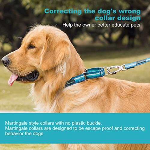 Martingale Dog Collar No Pull Pet Collar Heavy Duty Dog Martingale Collars Silky with Unique Geometric Pattern for Medium and Large Dogs (Large, Turquoise) - color: Turquoise, size: Large: 17"-25", 1" Wide