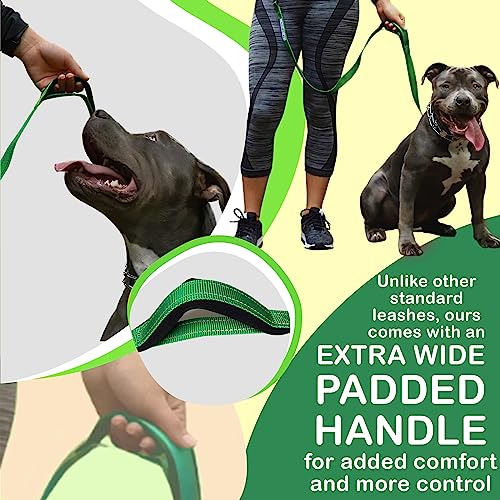 Hands-Free Leash for Small to Large Dogs 5ft - Heavy Duty Adjustable Waist Belt, Padded Handles, Reflective Stitching, Satin Carry Bag for Walking, Running, Hiking - color: Green