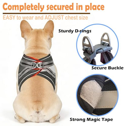 Small Dog Harness and Leash Set, Step-in Puppy Vest with Breathable Soft Padded Mesh, Walking Reflective Pet Harness for Small Medium Dogs - color: Black, size: Medium (Chest: 12" - 15.5")