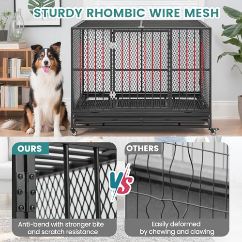 42 Inch Heavy Duty Dog Crate, Folding Dog Kennel for Medium/Small Dogs, Metal Dog Cage with Lockable Wheels, Dual Locks, Removable Tray, Easy Assembly - size: 42.1"L x 27.6"W x 32.3"H