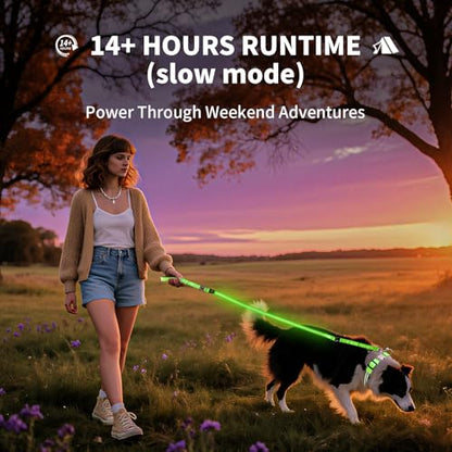 Night Walking LED Dog Leash - 6FT Reflective & Waterproof Light Up Safety Leashes for Dogs - USB Rechargeable, Green - color: Green(Fiber optic version)
