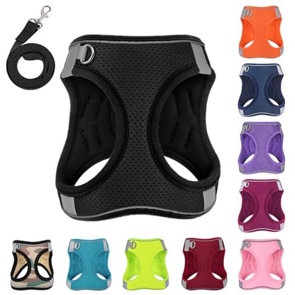 Dog Harness with Leash Set, No-Pull Step-in Reflective Pet Harness with 1 Leash Clips, Adjustable Soft Padded Easy Walk Dog Vest for Small Medium Large Dogs, Cats(Carbon Black, XXXSmall) - color: Black, size: XXXS(Chest:10"-11.5"*Fit Cat)