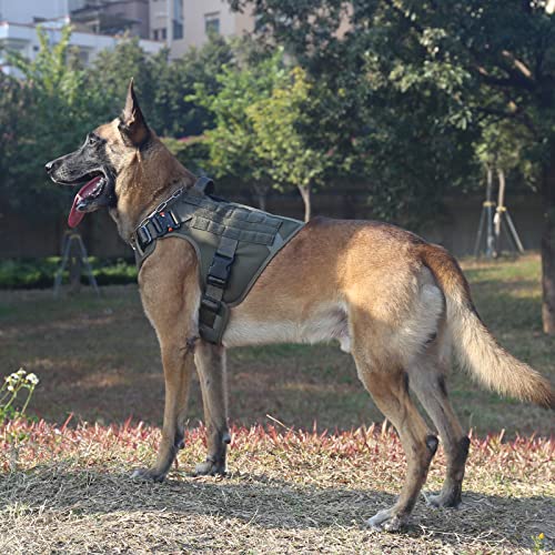 ICEFANG Tactical Dog Harness, X-Large Size,2X Metal Buckle,Working Dog MOLLE Vest with Handle,No Pulling Front Leash Clip,Hook and Loop Panel (Green,XL (Pack of 1)) - color: Green, size: X-Large (Pack of 1)