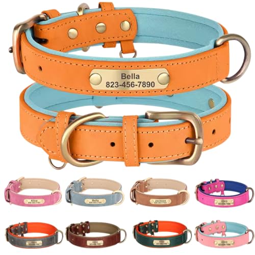 Personalized Dog Collar with Engraved Nameplate, Custom PU Leather Pet ID Collar for Small Medium Large Dogs, Engraved Name and Phone Number Tag for Pet Puppy (Orange, XS) - color: Orange, size: XS