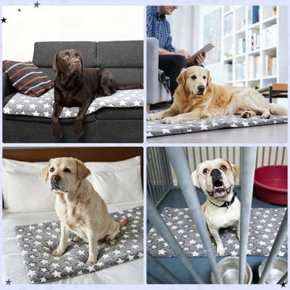 RattanView Back Seat Pet Cover for Dogs Backseat Cover for Dogs in Car 51x 24 Backseat Dog Bed Mat Waterproof Non-Slip Soft Cozy Star Pattern Protector for Extenders Trucks Suvs All Season Travel