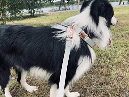 Dog Collar and Leash Set.Soft and Easy to Clean Vegan Leather with Rose Gold Metal Buckle for Small Medium Large Dogs (Grey, L(15.4”-24.8“) - color: Grey, size: L