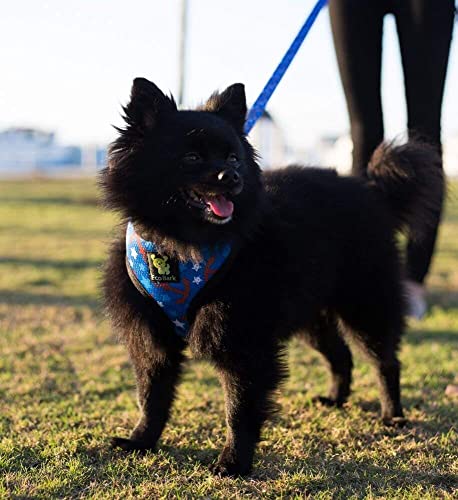 EcoBark Dog Harness - Eco-Friendly Max Comfort Harnesses - Luxurious Soft Mesh Halter - Over the Head Harness Vest- No Pull and No Choke for Puppy, Toy Breeds & Small Dogs (Medium, Nautical) - color: Blue Nautical