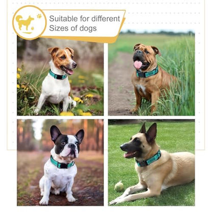 HEELE Dog Collar, Reflective Dog Collar, Soft Neoprene Padded Breathable Nylon Pet Collar Adjustable for Small Dogs, Turquoise, S(10.23-14.96") - color: Turquoise, size: Small (10.23-14.96")