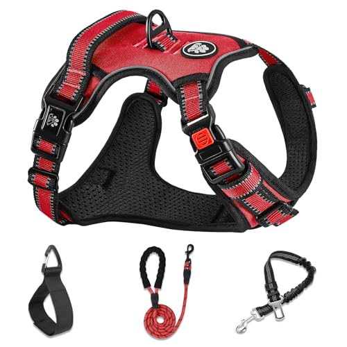 No Pull Dog Harness,Adjustable Oxford Dog Vest Harness with Leash,Reflective No-Choke Pet Harness with Easy Control Soft Handle for Small Dogs(Small,Red) - color: Red, size: 【S】neck 11-15" chest 15-21"