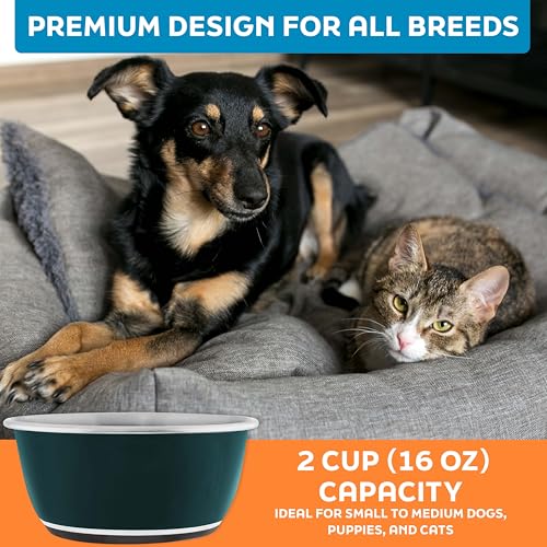 Master Pet Supply Stainless Steel Dog Bowls Set of 2 (16 Oz Each) with Non-Slip Rubber Base - Emerald Sea - Basic Dog Food Bowl Water & Food Bowls for Small Medium Large Dogs & Cats, Metal Dish - color: Emerald Sea, size: 2 Cups (16 oz) 2 Pack