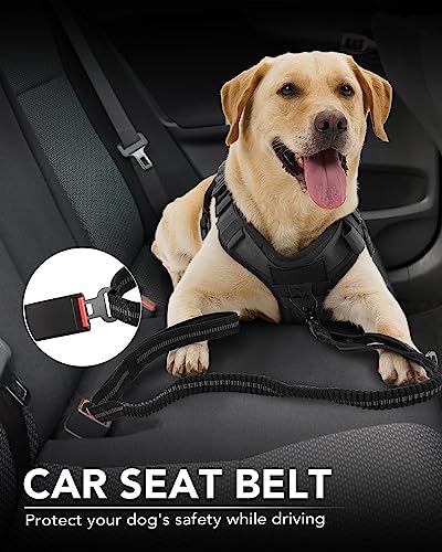 Joytale Tactical Dog Leash Heavy Duty, 4-6FT Shock Absorbing Bungee Lead with 2 Padded Handle, Metal Carabiner Clip, Car Seatbelt, Strong No Pull Leash for Medium Large X-Large Dogs, Black - color: Black