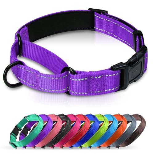 Martingale Collar for Dogs with Quick Release Buckle, Reflective Soft Padded & Escape Proof, Adjustable Nylon Dog Collars for Training & Daily Walking (Purple,XS) - color: Purple, size: XS:width 5/8"neck 10.5-12"