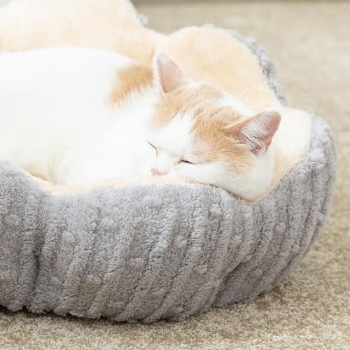 Hollypet Cozy Cat Beds for Indoor Cats - Cute Cactus Pet Bed, Fluffy Puppy Bed, Non-Slip Extra Small Dog Bed, Gray - color: Gray