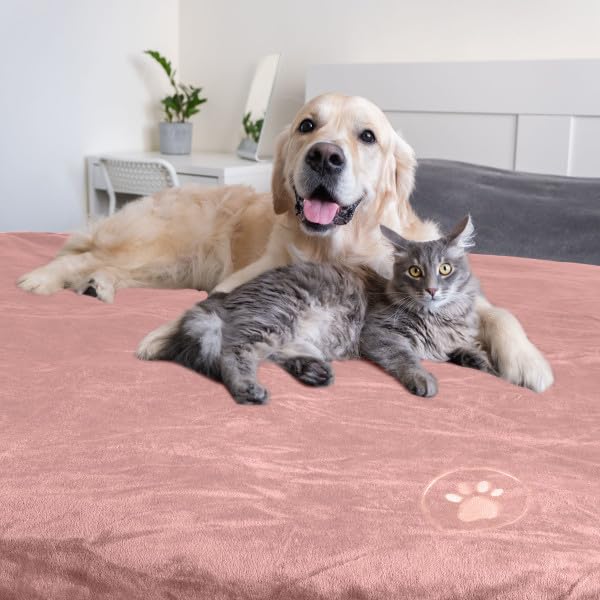 Waterproof Pet Blanket - 30x40-Inch Reversible Sherpa Fleece Throw Protects Couches, Cars, and Beds from Spills, Stains, and Fur by PETMAKER (Pink) - color: Pink, size: X-Small