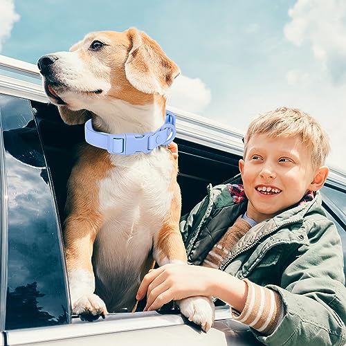 Waterproof Dog Collar Soft Rubber Dog Collar with Safety Buckle Adjustable Pet Collars for Small Medium Large Dogs - color: Lblue, size: S