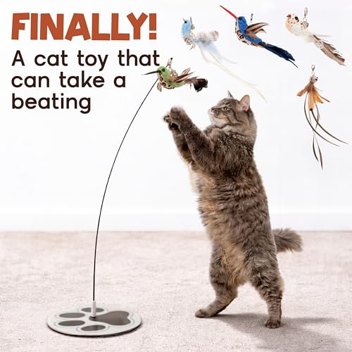 Interactive Cat Toys for Indoor Cats - 5 Replacement Feathers with Bells - Teaser Wand Toy - Self Play Bird Simulation - Bored Adult Feline Hunting Solo Chaser Activity - Kitten Juguetes para Gatos - color: Pounce & Play Bundle