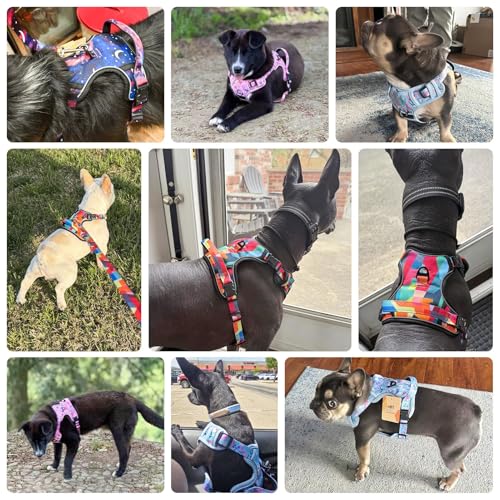 BEAUTYZOO No Pull Dog Harness, Adjustable Dog Harness and Leash Set -Easy Wearing with 3 Buckles/Control Handle,No Choke Soft Padded Reflective Pet Vest for Training Walking Hiking,Solid Aqua Blue S - color: Solid Aqua Blue, size: S: chest 14"-24"