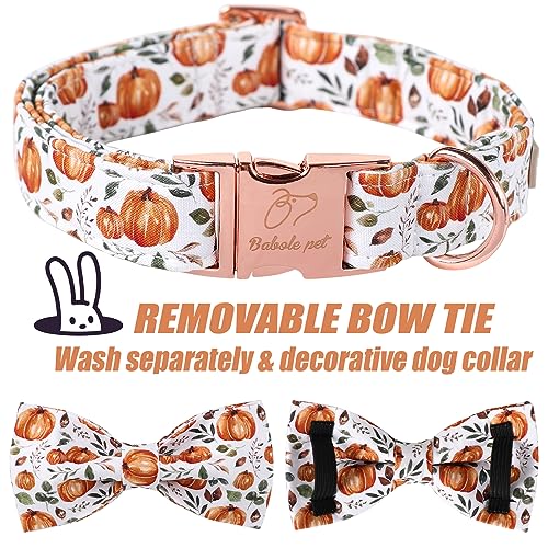 Pumpkin Dog Collar with Bow Tie - Fall Halloween Thansgiving Designer Dog Collars, Adjustable Cotton Metal Buckle Bowtie Collar for Small Medium Large Boy Girl Dogs XS - color: B-White Pumpkin, size: XS