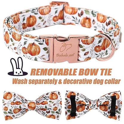 Pumpkin Dog Collar with Bow Tie - Fall Halloween Thansgiving Designer Dog Collars, Adjustable Cotton Metal Buckle Bowtie Collar for Small Medium Large Boy Girl Dogs XS - color: B-White Pumpkin, size: XS