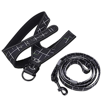 Reflective Dog Harness & Leash Set | Protective Pet Traction Suit for Night Visibility | Adjustable Dog Vest for Small/Medium/Large Breeds | Comfortable Neoprene Lining