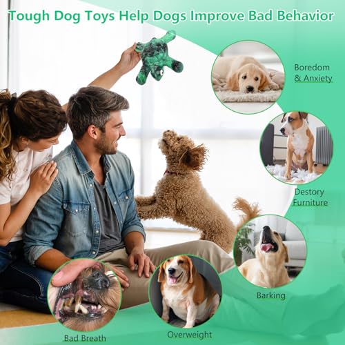 Letsmeet Heavy Duty Nylon Dog Bone Chew Toys - Real Bacon Flavor, Long-Lasting for Aggressive Chewers & Large Breeds - color: Green1