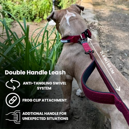 BULLYBREED | Heavy Duty Dog Leash, Tactical Dog Leash, Quick Release Frog Clip with Anti-Tangling Swivel System for Large Dogs that Pull with Soft Double Handles (5 FT Long, Hot Pink) - color: Hot Pink